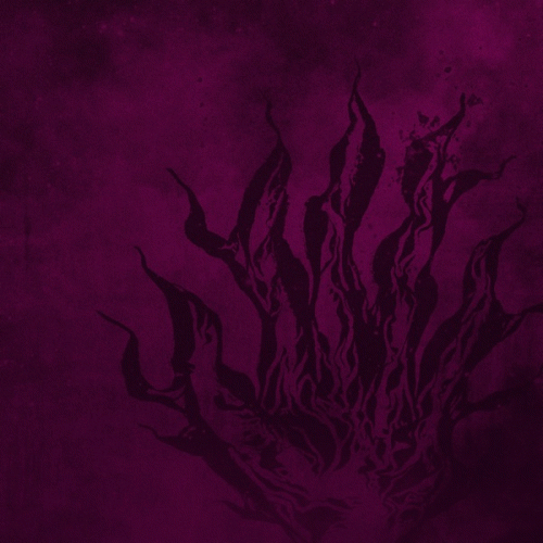 Serotonin Syndrome : Among Others